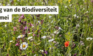 Dag van de Biodiversiteit